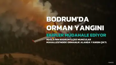 Bodrum'da Orman Yangını: Ekipler Havadan ve Karadan Müdahale Ediyor