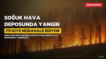 Bursa'nın İznik ilçesinde soğuk hava deposunda çıkan yangına müdahale sürüyor