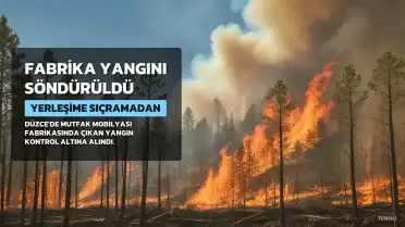 Düzce'de Mutfak Mobilyası Fabrikasında Çıkan Yangın Kontrol Altına Alındı