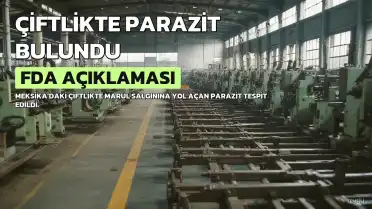 FDA, Marul Salgınından Sorumlu Meksika Çiftliğinde Cyclospora Tespit Etti