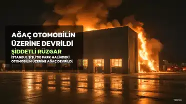 İstanbul'da Şiddetli Rüzgar Nedeniyle Ağaç Devrildi: Otomobil Hasar Gördü