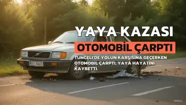 Tunceli'de otomobil çarpması sonucu yaya hayatını kaybetti