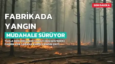 Tuzla'da Ayakkabı Fabrikasında Yangın: Müdahale Devam Ediyor