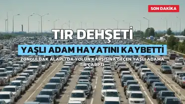 Zonguldak'ta TIR'ın Çarptığı Yaşlı Adam Hayatını Kaybetti