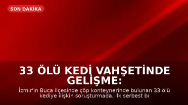 33 Ölü Kedi Vahşetinde Gelişme: Veteriner Hekim Yeniden Gözaltına Alındı