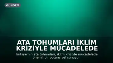 Ata Tohumları İklim Kriziyle Mücadelede Umut Veriyor
