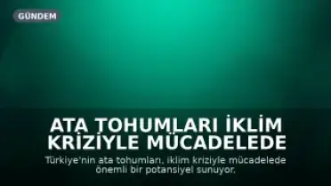 Ata Tohumları İklim Kriziyle Mücadelede Umut Veriyor
