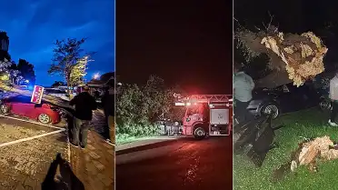 Bartın'da Fırtına: Ağaçlar Devrildi, Araçlar Hasar Gördü