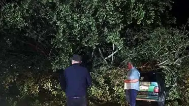 Bartın'da Şiddetli Fırtına: Ağaçlar Otomobillerin Üzerine Devrildi, Maddi Hasar Oluştu