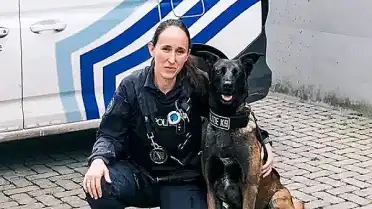 Belçika'da Köpeklere Özel Restoran Menüsü Uygulaması