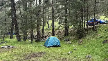 Bolu'da Ormana Yıldırım Düşmesiyle 3 Kişi Yaralandı