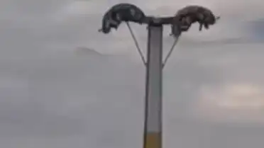 Buca Lunaparkta Bayramda Arızalar Vatandaşları Tehlikeye Attı