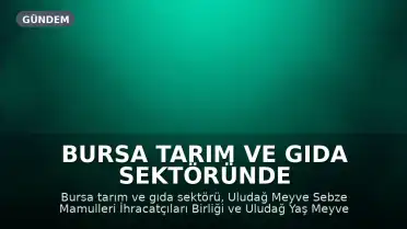 Bursa Tarım ve Gıda Sektöründe İhracat Hedefleri Yeniden Belirlendi