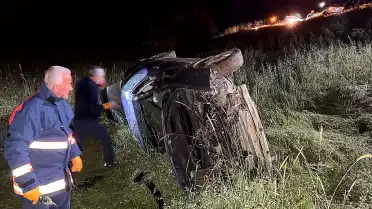 Elazığ'da Domuz Faciası: 5 Yaralı