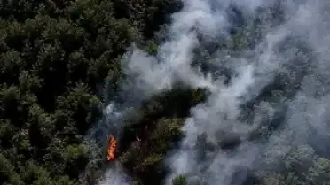 Fethiye'de Orman Yangını: Ekipler Mücadele Ediyor