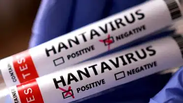Hantavirüs Vakaları Sonrası Sağlık Bakanlığı'ndan Açıklama: Tedbirler Alındı