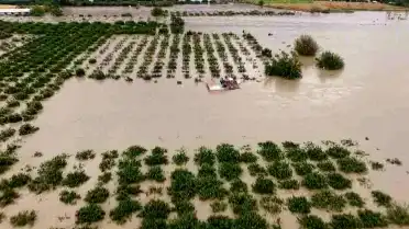 Hatay'da Aşırı Yağışların Ardından Tarım Arazilerindeki Hasar Ortaya Çıktı