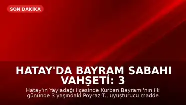 Hatay'da Bayram Sabahı Vahşeti: 3 Yaşındaki Çocuk Öldürüldü, Uzuvları Kesildiği İddia Edildi