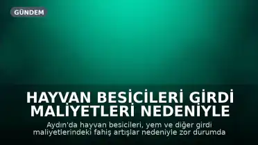 Hayvan Besicileri Girdi Maliyetleri Nedeniyle Zor Durumda: 'Bir Çuval Yem 1000 Lira'