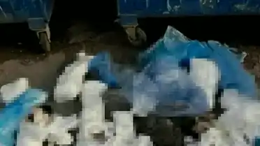 İzmir'de 33 Kedi Ölümüyle İlgili Veteriner Hekim Tutuklandı