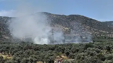 İzmir'in Bayındır ilçesinde zeytinlik alanda çıkan yangın kontrol altına alındı