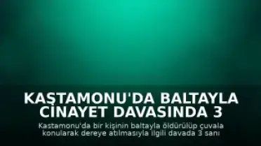 Kastamonu'da Baltayla Cinayet Davasında 3 Sanığa Hapis Cezası Talebi