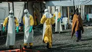 Kongo'da Ebola Salgını Yeniden Başladı: 65 Can Kaybı, Virüs Uganda'ya Sıçradı