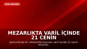 Mezarlıkta Varil İçinde 21 Cenin Bulundu