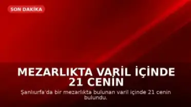 Mezarlıkta Varil İçinde 21 Cenin Bulundu