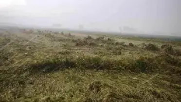 Osmaniye'de Sağanak Nedeniyle Evinde Mahsur Kalan Yaşlı Kadın Kurtarıldı