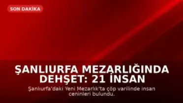 Şanlıurfa Mezarlığında Dehşet: 21 İnsan Cenini Bulundu