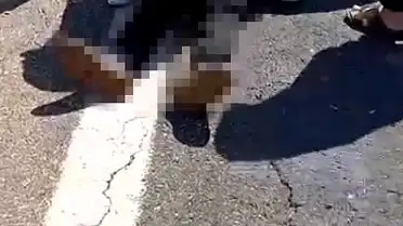 Şanlıurfa'da Kurbanlık Yüklü Kamyonet Devrildi: 1 Kişi Hayatını Kaybetti, 1 Kişi Yaralandı