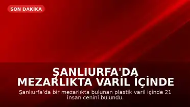 Şanlıurfa'da Mezarlıkta Varil İçinde 21 Cenin Bulundu