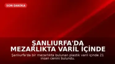 Şanlıurfa'da Mezarlıkta Varil İçinde 21 Cenin Bulundu