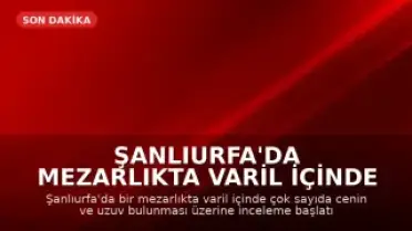 Şanlıurfa'da Mezarlıkta Varil İçinde Cenin ve Uzuvlar Bulundu