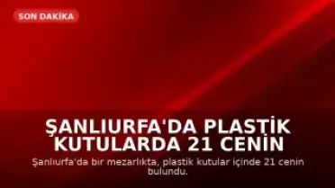 Şanlıurfa'da Plastik Kutularda 21 Cenin Bulundu