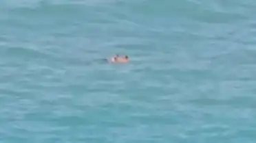 Şile'de Denize Giren 2 Kişi Akıntıya Kapıldı, Sahil Güvenlik Kurtardı