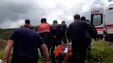 Sivas'ta Mantar Toplarken Ayı Saldırısı: Bir Vatandaşın Parmağı Koptu