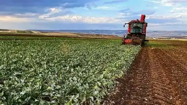 Tokat'ta Sel ve Dolu Afeti Çiftçiyi Vurdu: Ziraat Odası Destek Sözü Verdi
