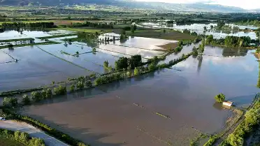 Tokat'ta Yeşilırmak Taştı: Binlerce Dönüm Tarım Arazisi Sular Altında Kaldı