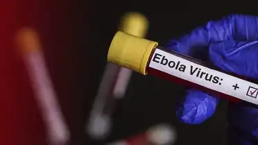 Uganda, Ebola Salgını Nedeniyle Kongo Demokratik Cumhuriyeti Sınırını Kapattı