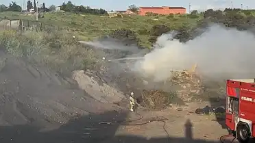 Ümraniye'de Hayvan Barınağı Yakınında Yangın Paniği