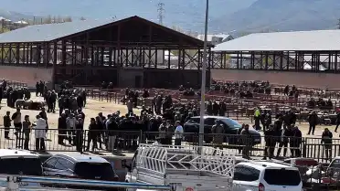 Van'da Hayvan Pazarında Çıkan Silahlı Kavgada 1 Kişi Hayatını Kaybetti, 13 Kişi Yaralandı