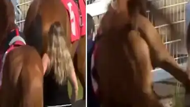 Yarış Atı Sahipsiz Kadına Tekme Attı: Hafif Yaralandı