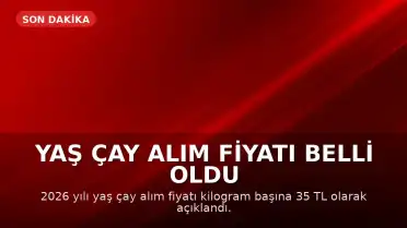 Yaş Çay Alım Fiyatı Belli Oldu