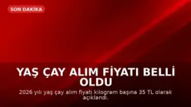 Yaş Çay Alım Fiyatı Belli Oldu