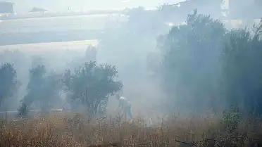 Antalya'da Çalılık Alanda Çıkan Yangın Seralara Ulaşmadan Söndürüldü