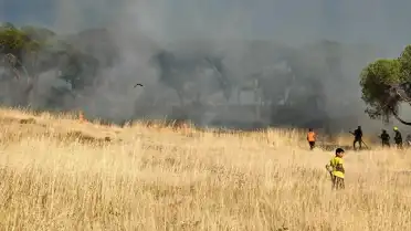 Ayvalık Sakarya Mahallesi'nde Otluk Alanda Yangın Çıktı