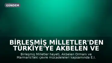 Birleşmiş Milletler'den Türkiye'ye Akbelen ve Marmaris Dosyası Hakkında Uyarı