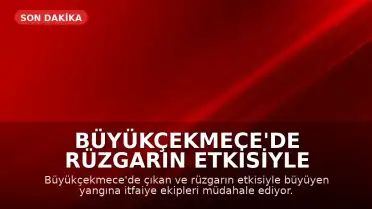 Büyükçekmece'de Rüzgarın Etkisiyle Büyüyen Yangına Müdahale Ediliyor